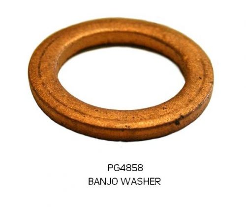 BANJO WASHER PG4858 1