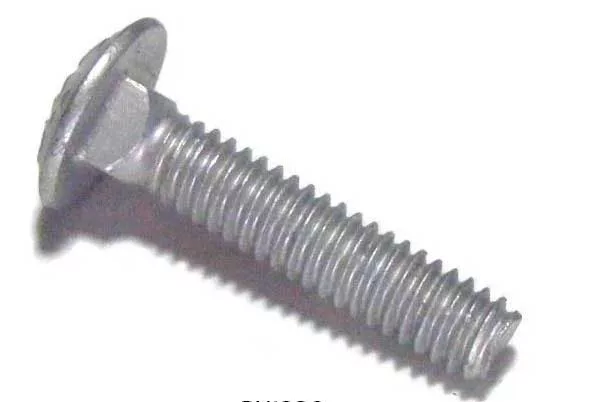 CARRIAGE BOLT SS