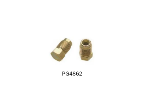 PG4862 CALIPER PLUG